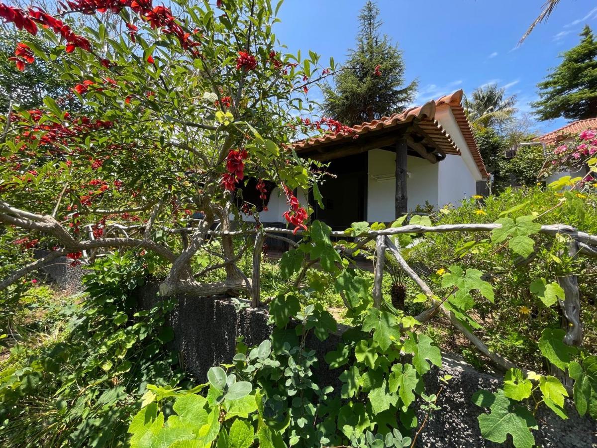 Casas De Campo Do Pomar B&B - Self Check-In Santana  Esterno foto