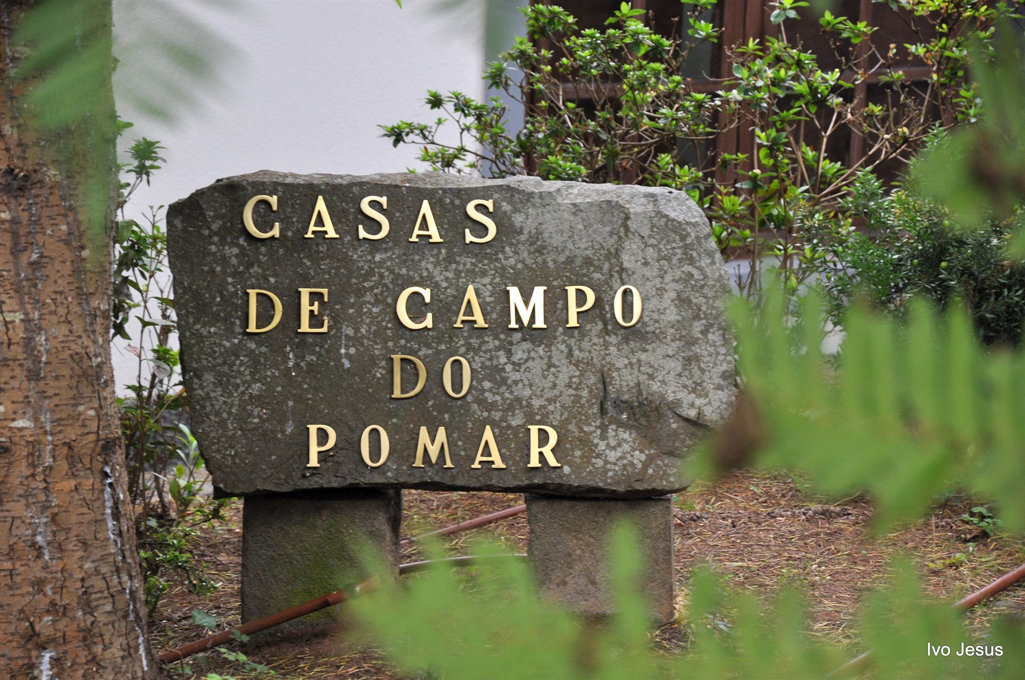 Casas De Campo Do Pomar B&B - Self Check-In Santana  Esterno foto